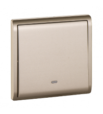 16AX 250V 1G 1W SW w Fluo Loc ,WG